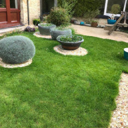 Techniques de taille pour maintenir un jardin esthétique et en bonne santé Yerres